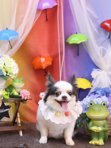 20230603リアンくん